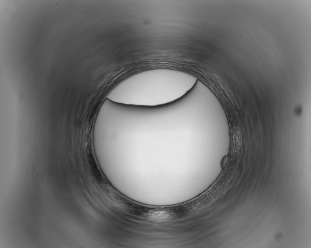 X0000100470218200806130802