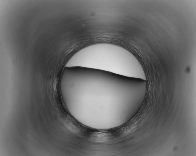 X0000100470219200806130802
