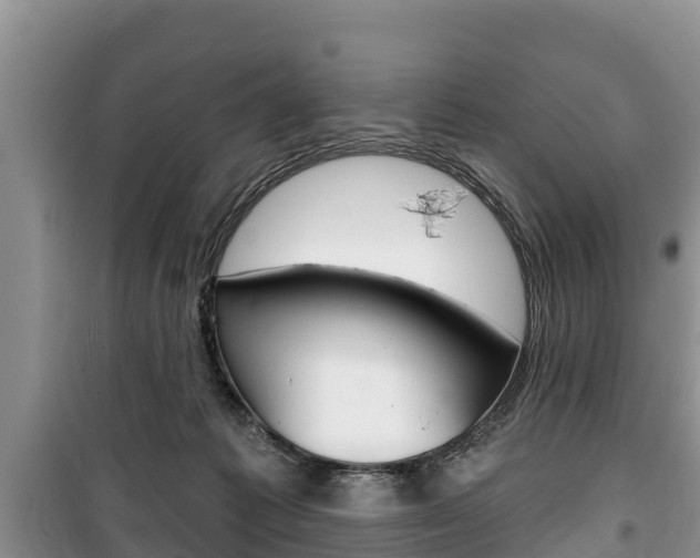 X0000100470221200806130802