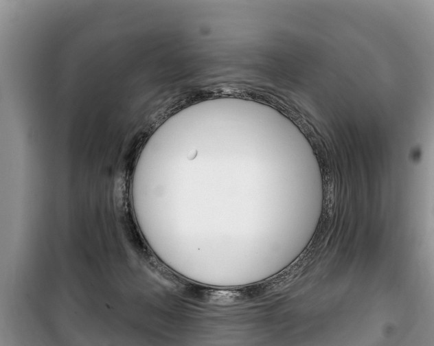 X0000100470222200806130802