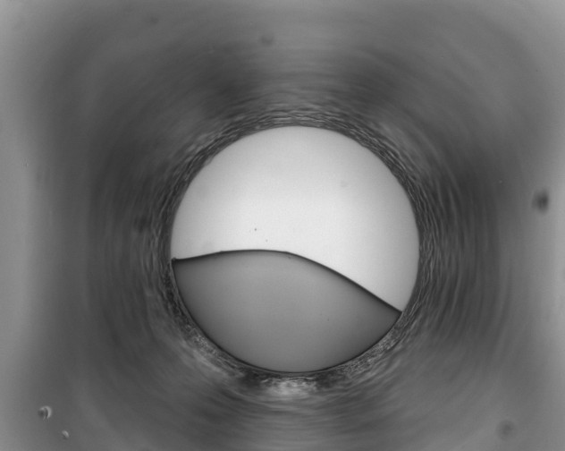 X0000100470223200806130802