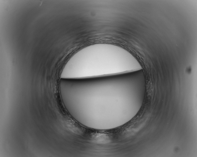 X0000100470224200806130802