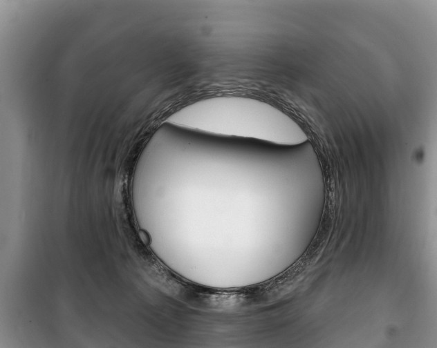 X0000100470225200806130802