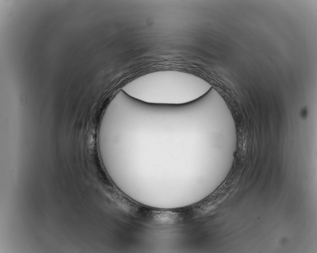 X0000100470226200806130802