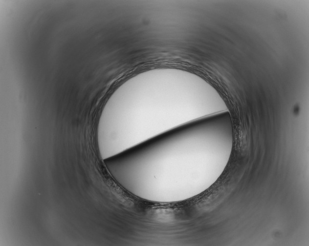 X0000100470228200806130802