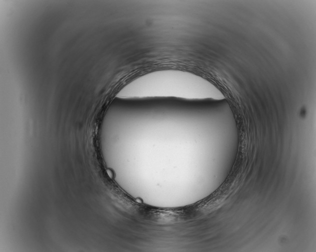 X0000100470229200806130802