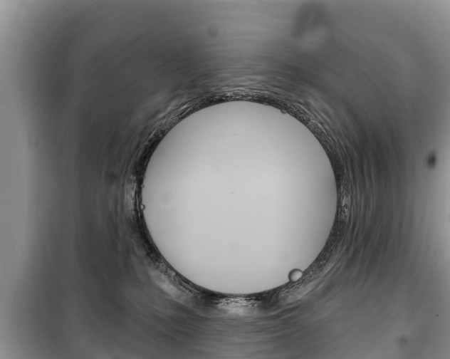 X0000100470231200806130802