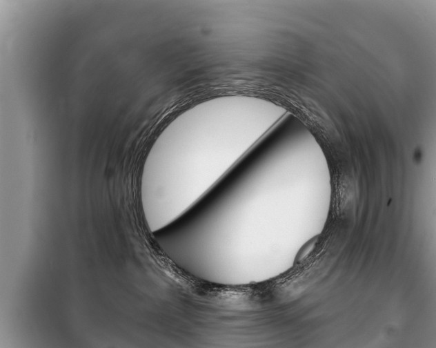 X0000100470236200806130802