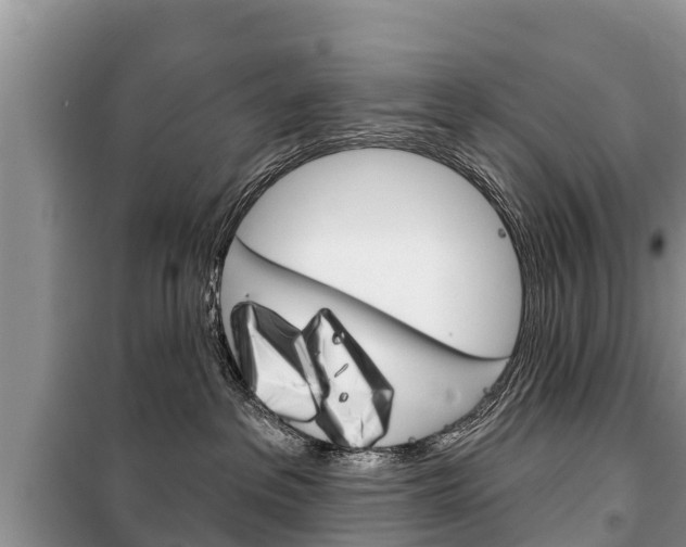 X0000100470237200806130802