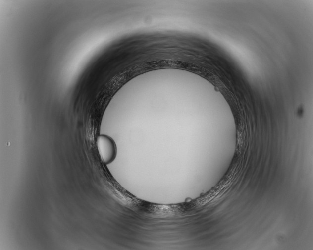 X0000100470239200806130802