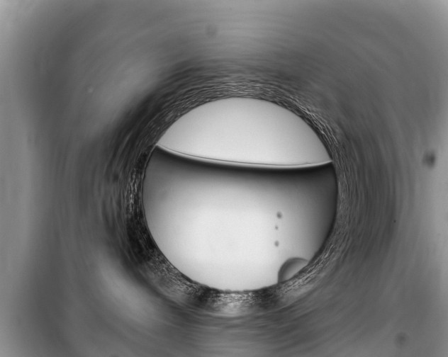 X0000100470240200806130802