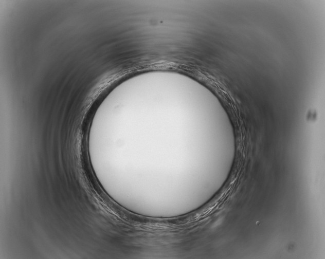 X0000100470242200806130801