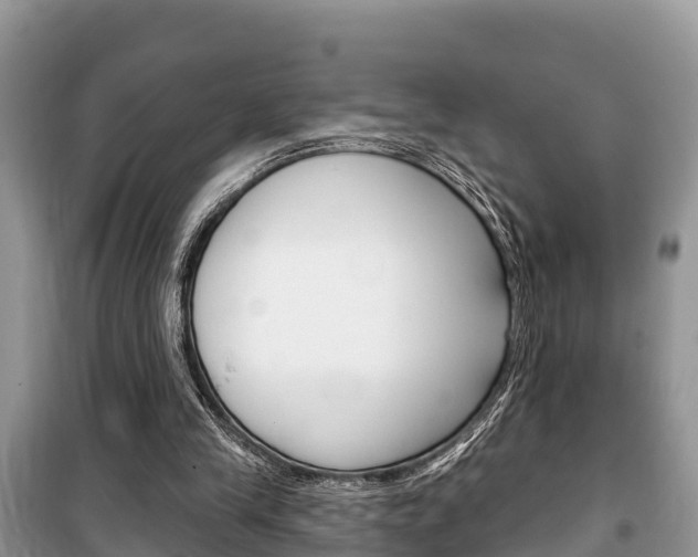 X0000100470245200806130801