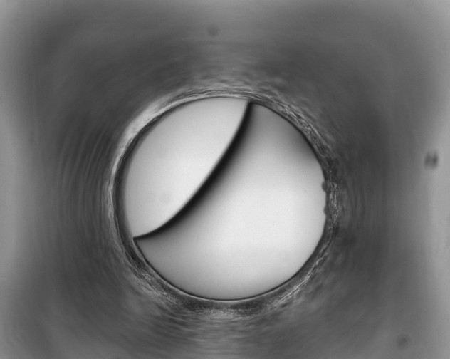 X0000100470246200806130801