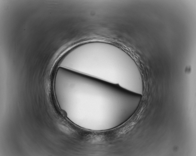 X0000100470247200806130801
