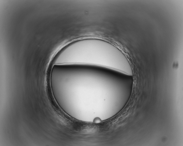 X0000100470248200806130801