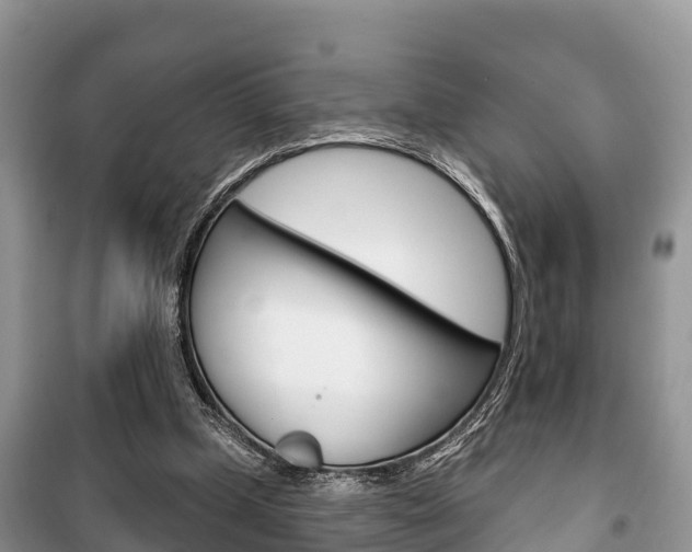 X0000100470249200806130801
