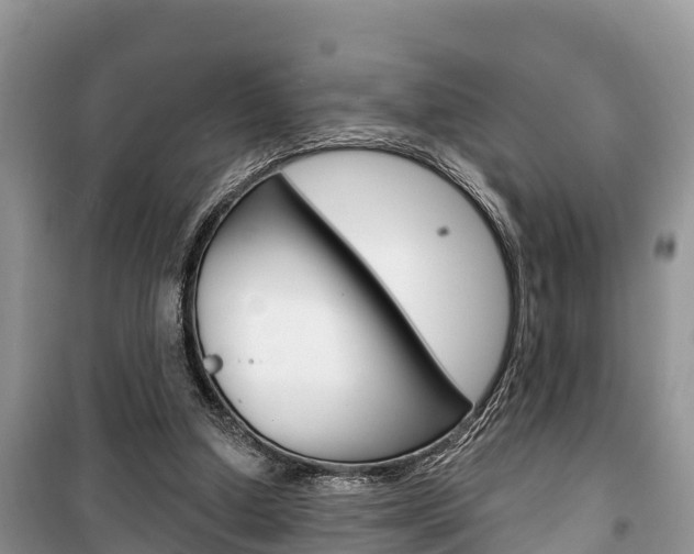 X0000100470250200806130801