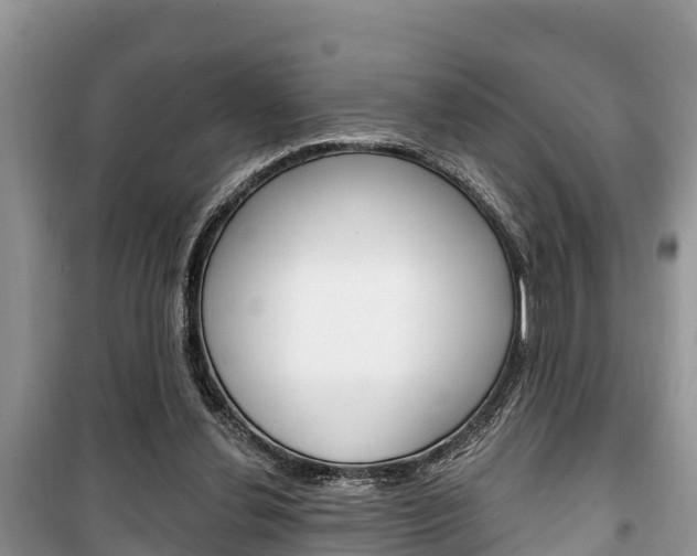 X0000100470252200806130801