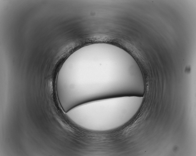 X0000100470254200806130801