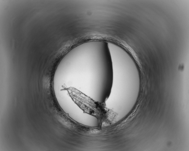X0000100470257200806130801