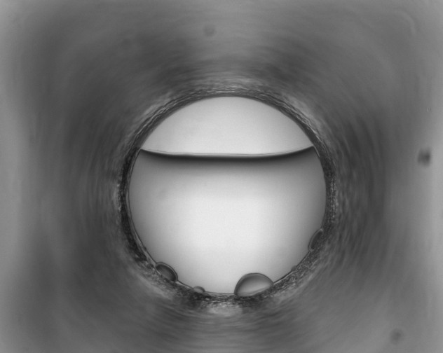 X0000100470258200806130801