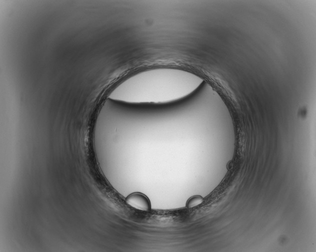 X0000100470260200806130801
