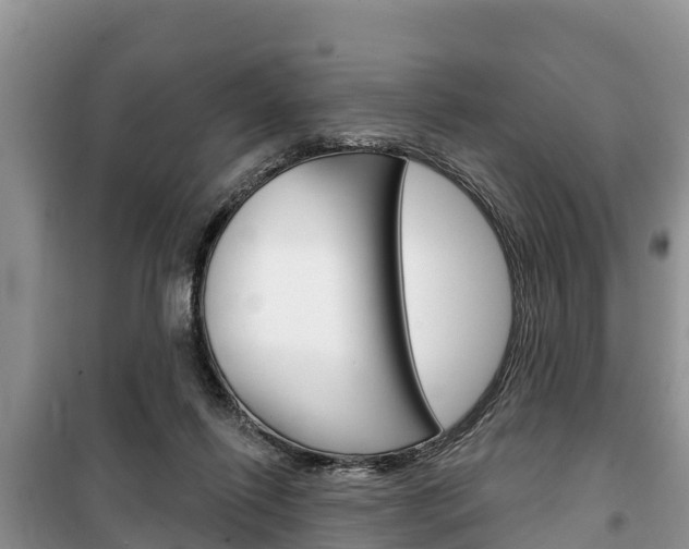 X0000100470262200806130801