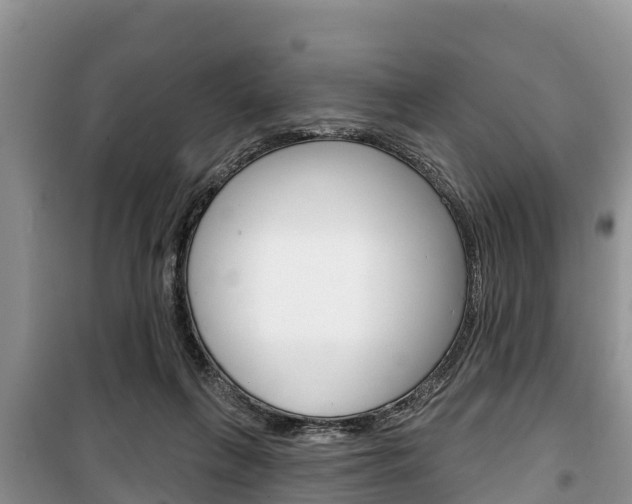 X0000100470263200806130801