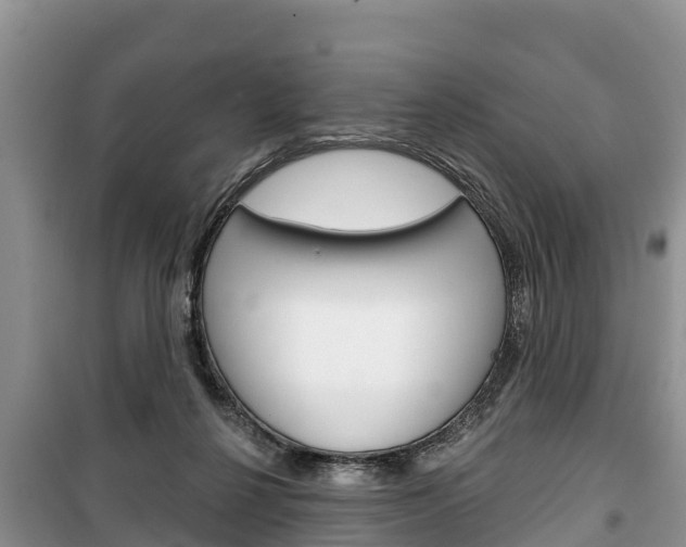 X0000100470264200806130801