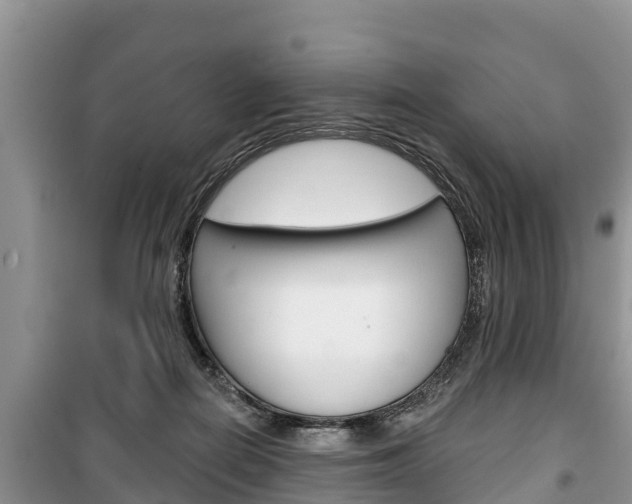X0000100470266200806130801