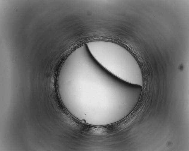 X0000100470269200806130801
