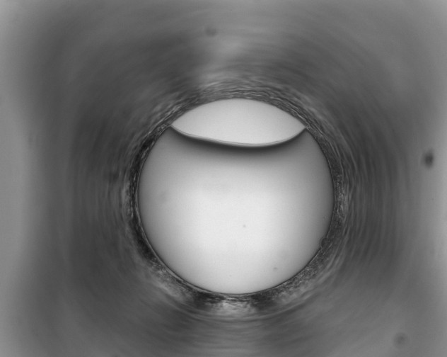 X0000100470270200806130801
