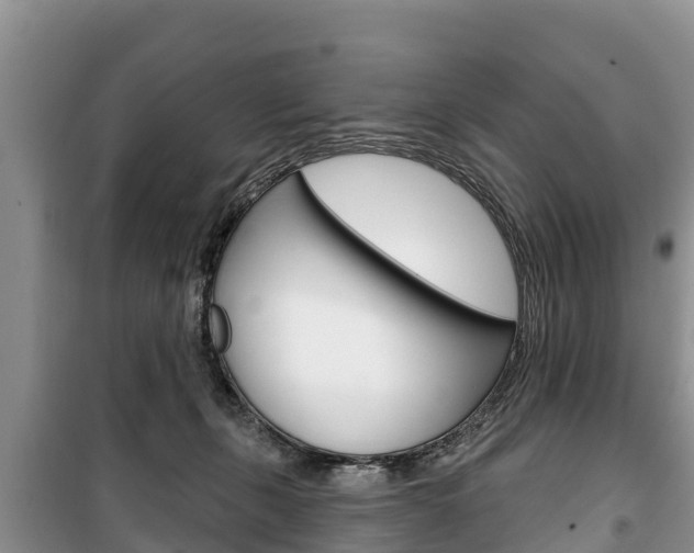 X0000100470271200806130801