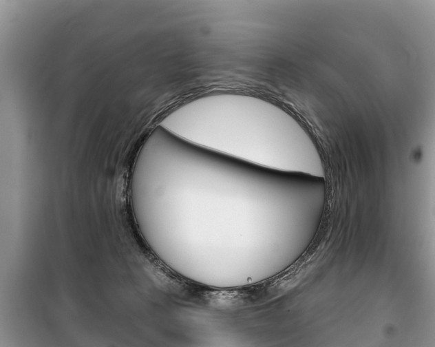 X0000100470273200806130801