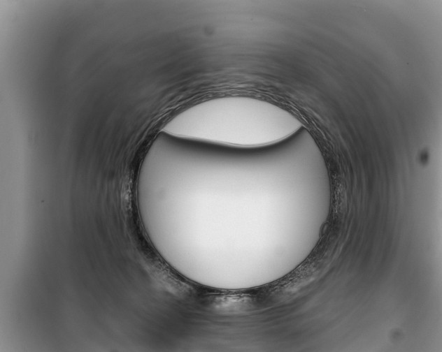 X0000100470274200806130801