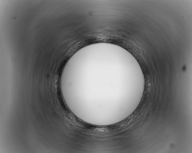 X0000100470275200806130801
