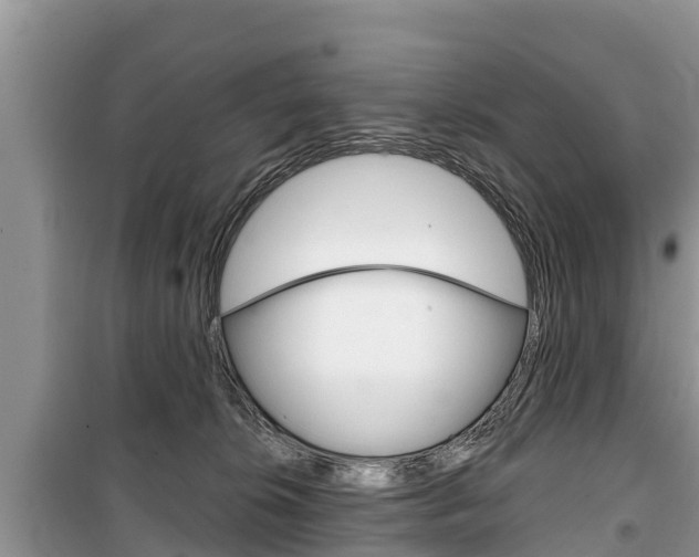 X0000100470276200806130801