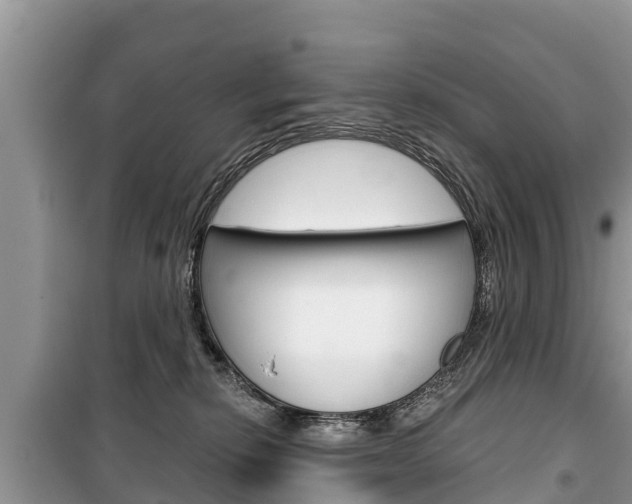 X0000100470278200806130802