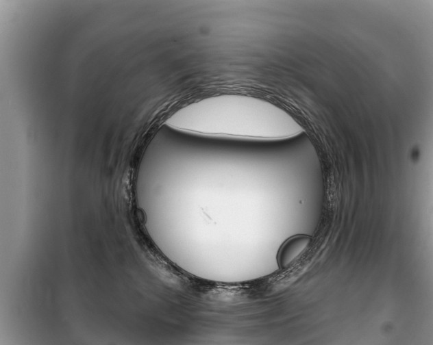 X0000100470280200806130802
