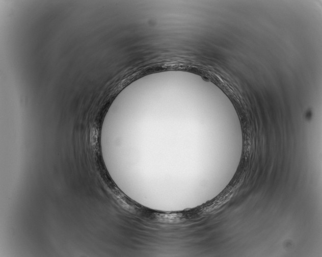X0000100470281200806130802