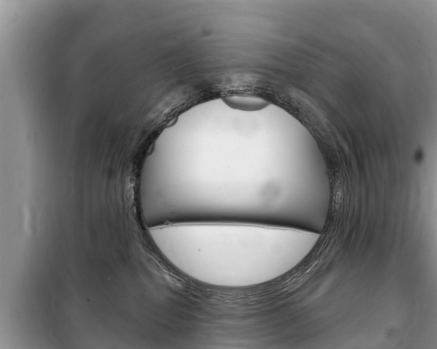 X0000100470282200806130802
