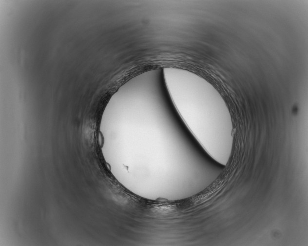 X0000100470283200806130802