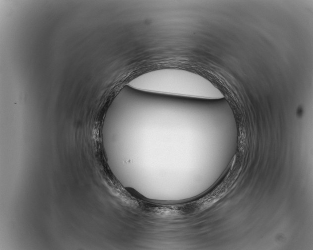 X0000100470284200806130802