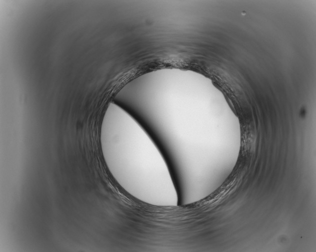 X0000100470285200806130802