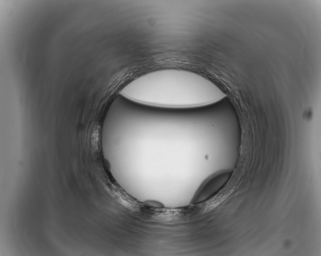 X0000100470288200806130802