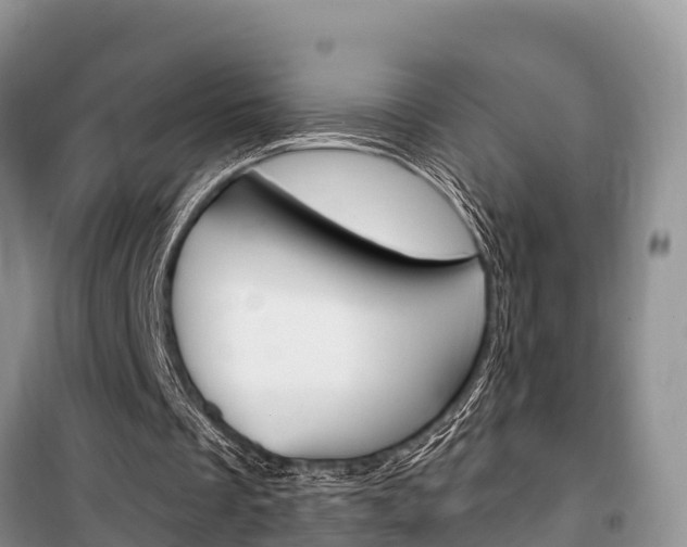 X0000100470289200806130801