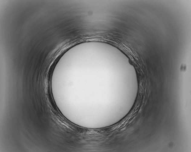 X0000100470290200806130801