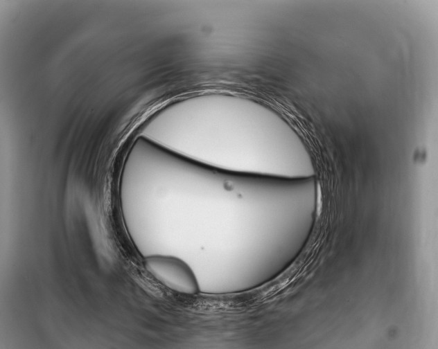 X0000100470291200806130801