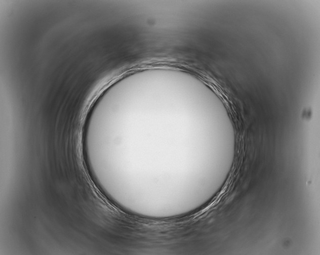 X0000100470293200806130801